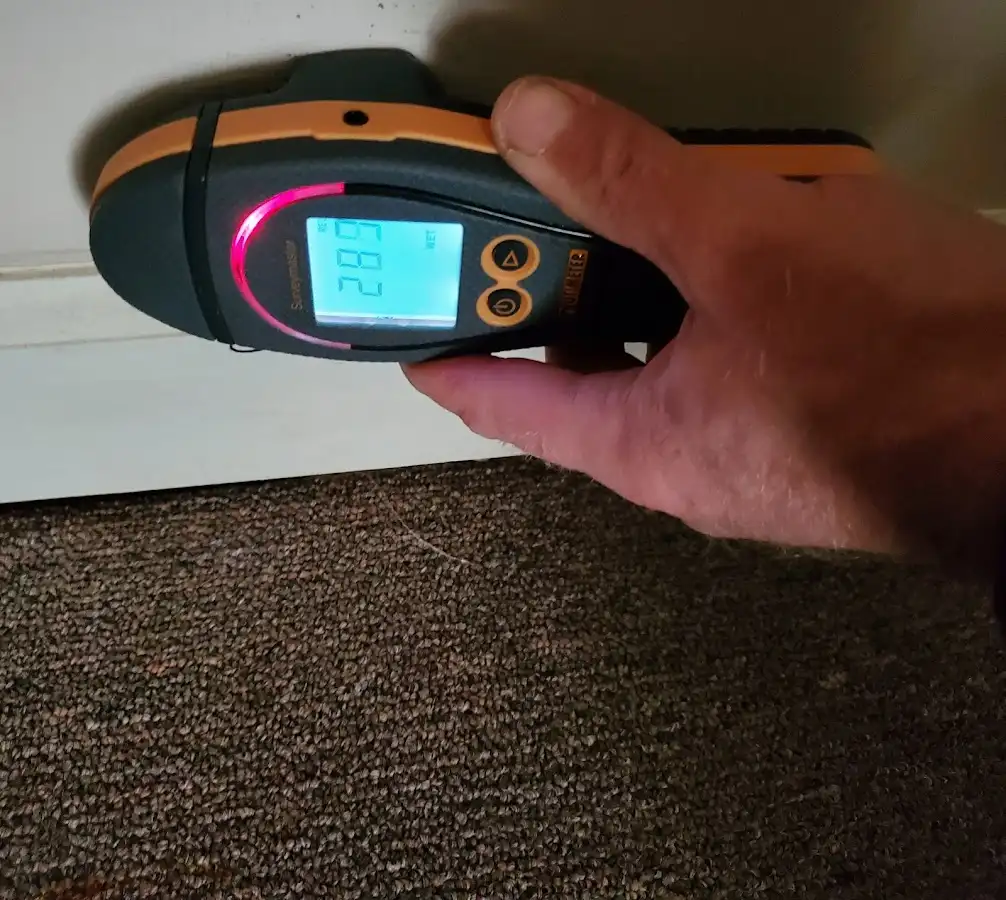 Moisture detection at baseboard during Sewage Cleanup & Sanitation in Muscle Shoals